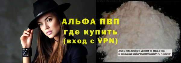 apvp Алзамай