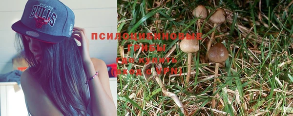 apvp Алзамай