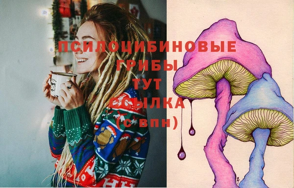 мескалин Осинники
