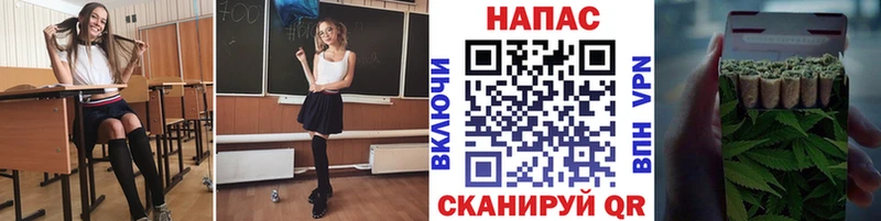 Бошки марихуана марихуана  Курганинск 